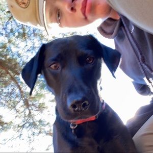 Meet your Posher, Buck